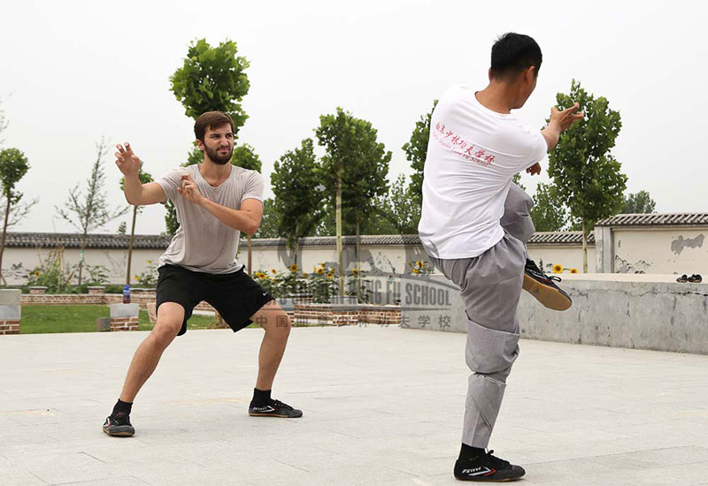 Animal Form Shaolin Kung Fu