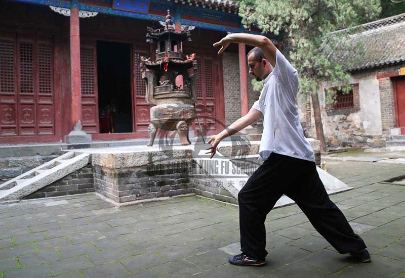 Bagua training chinese school