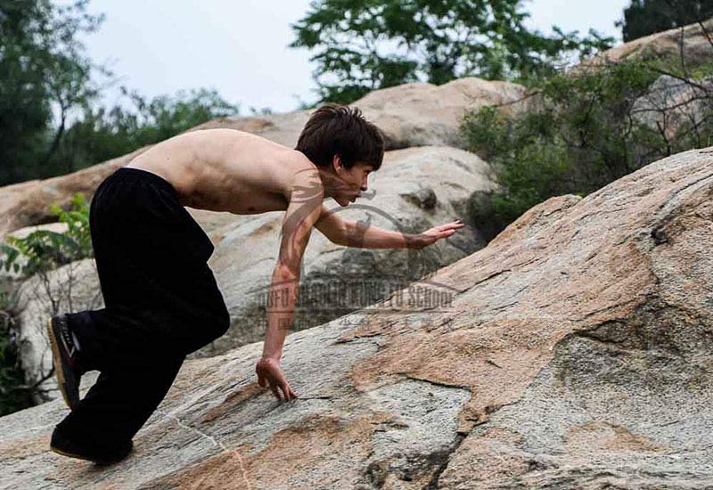 Kung fu Power Training natural