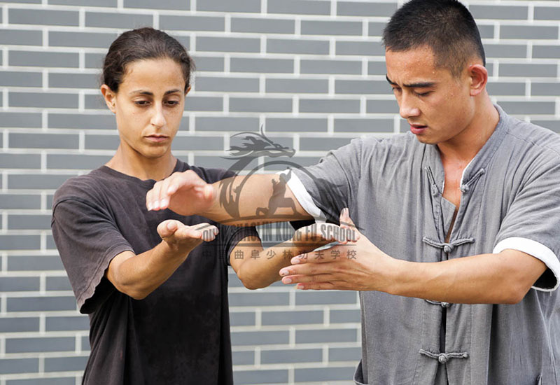 Master teaching Wing Chun in china