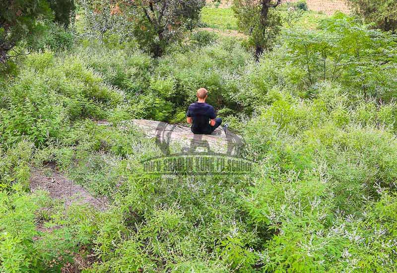 Meditation in the nature