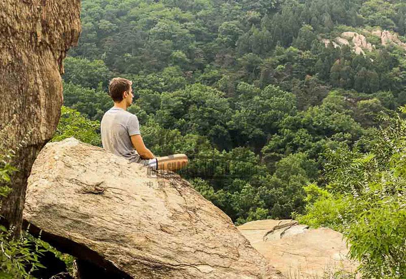 Meditation shaoling kung fu school