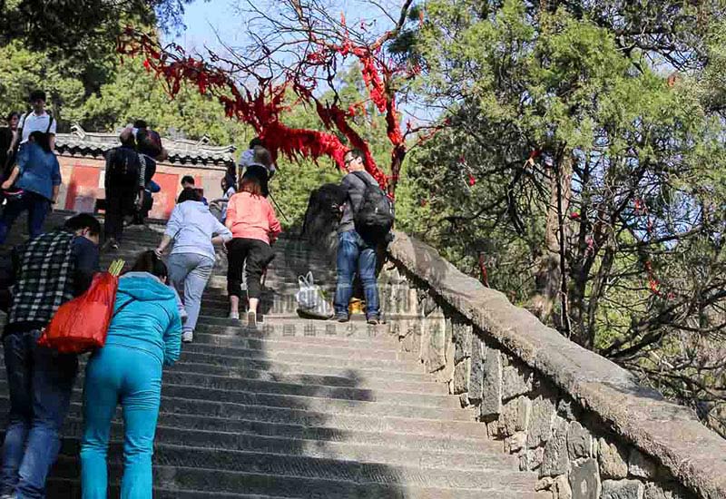 Mt Tai Hiking