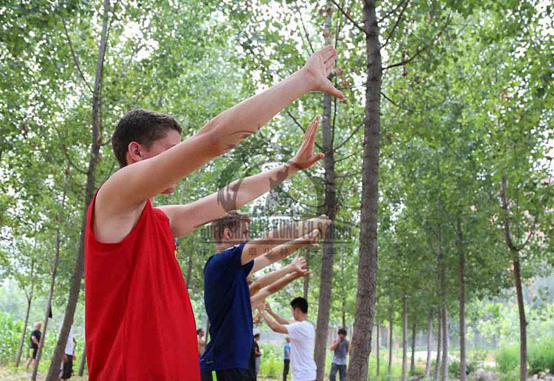 Qi Gong training