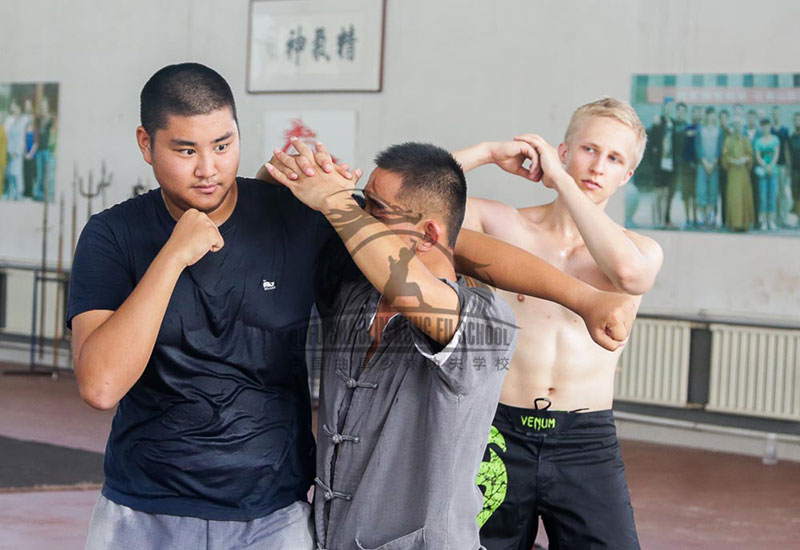 Qin Na training school in china