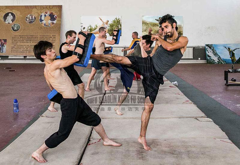 Sanda kick partner training