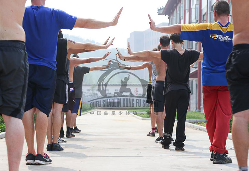 Shaolin Kung Fu Hands Pose