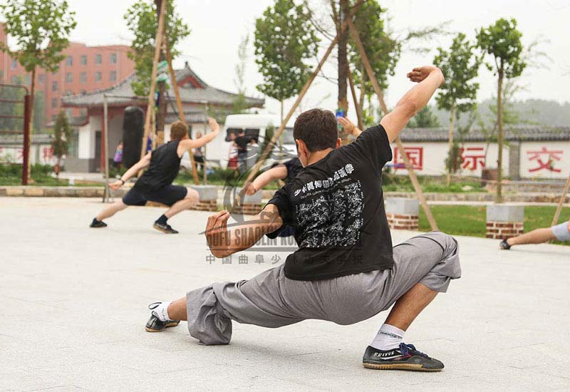 Shaolin Kung Fu Low Stance