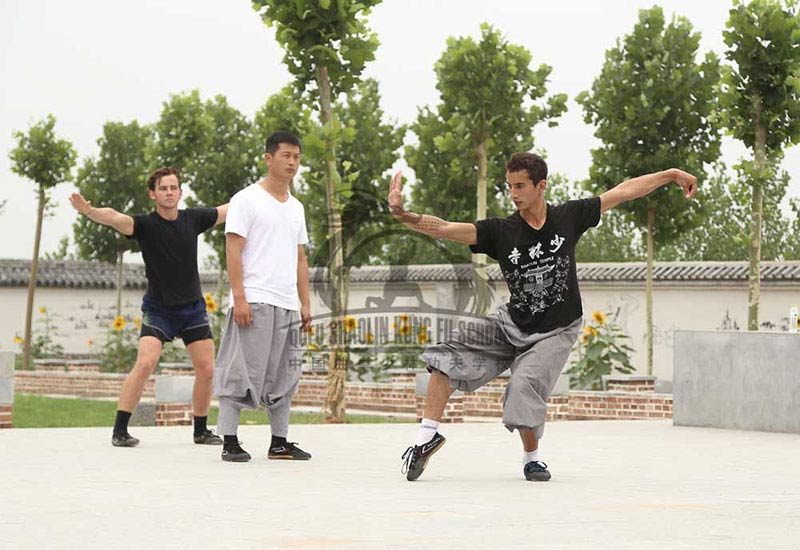 Shaolin Kung Fu Student training hard