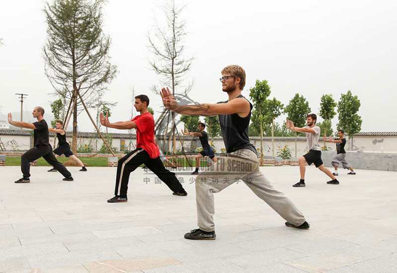 Shaolin Kung Fu Students Training