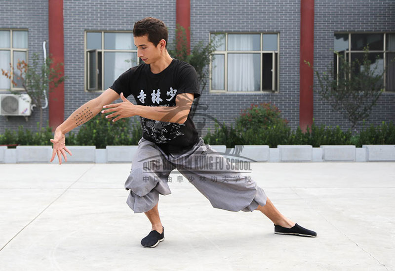 Tai Chi student movement