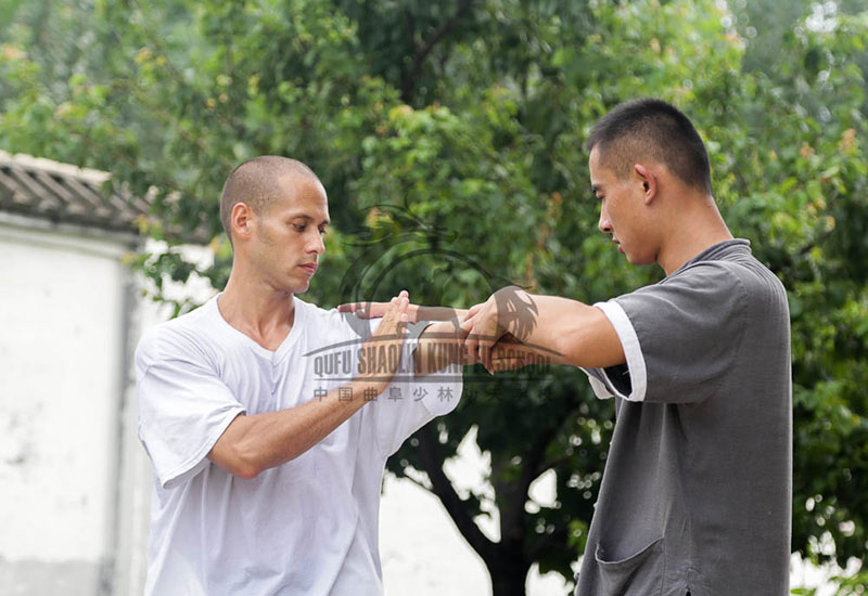 Wing Chun ipman branch school