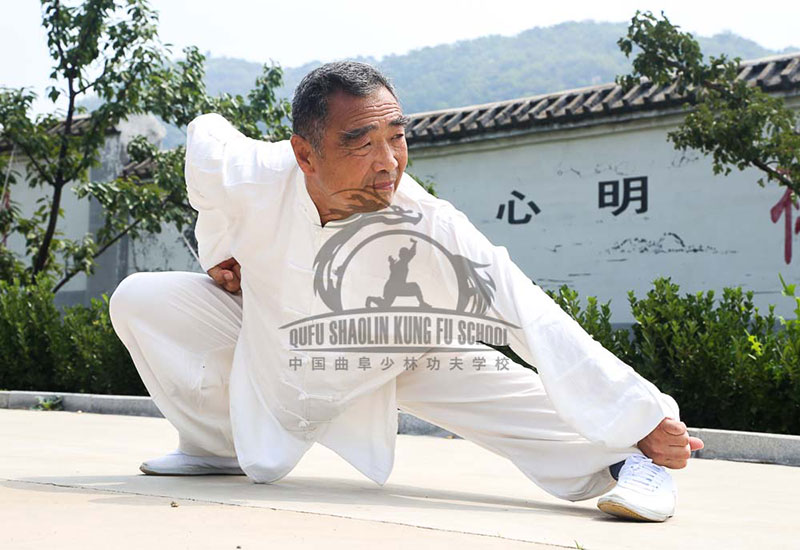 XingYi pubu master pose