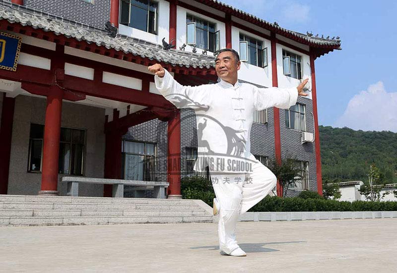 XingYi traditional master
