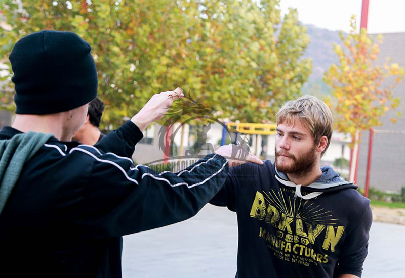 foreigner students training Mantis fist