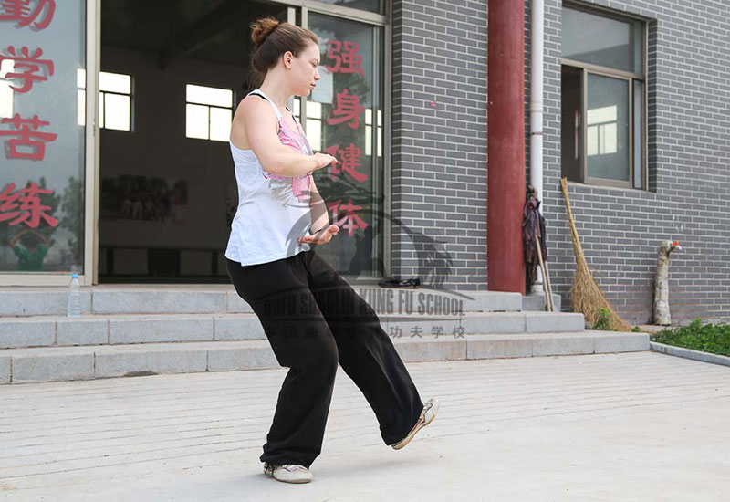 hand Tai Chi movement