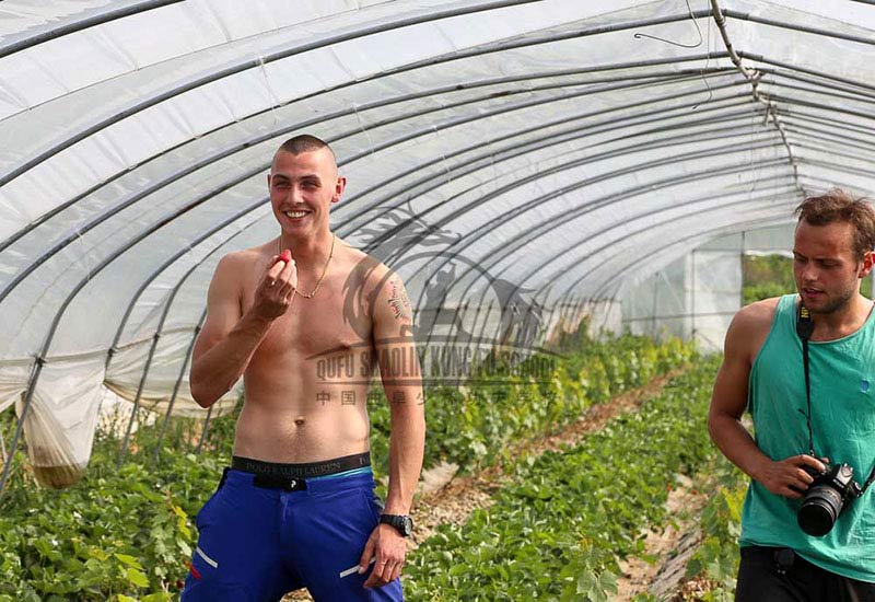 happy time Picking Strawberry