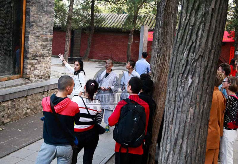 international students shaolin tour