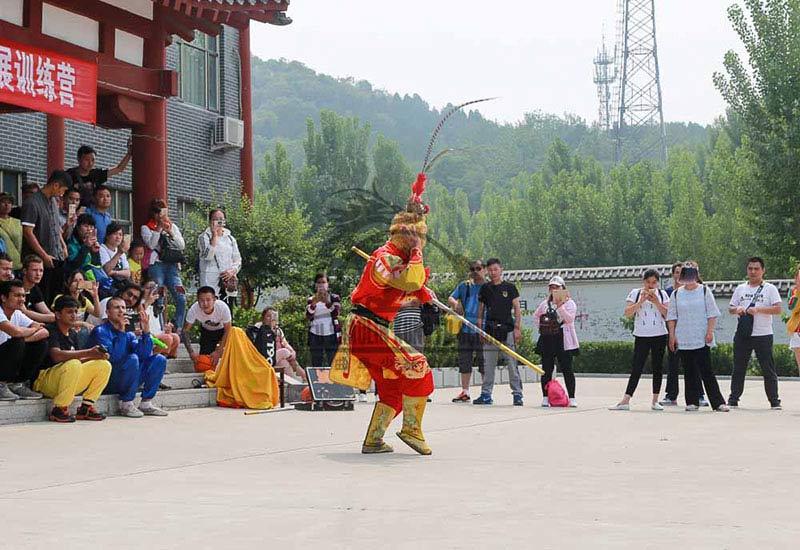 monkey king doing kung fu