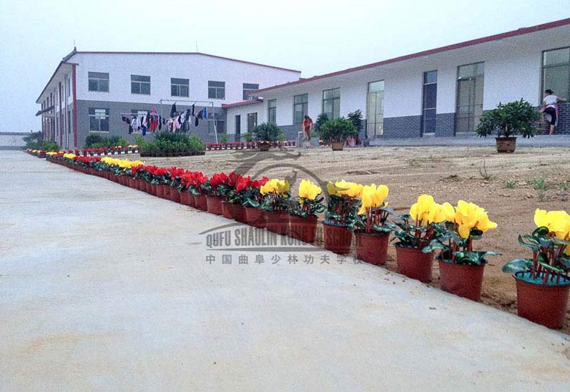 shaolin kung fu school in china