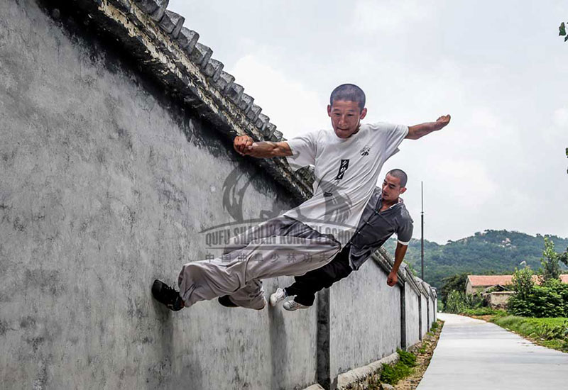 shaolin skills