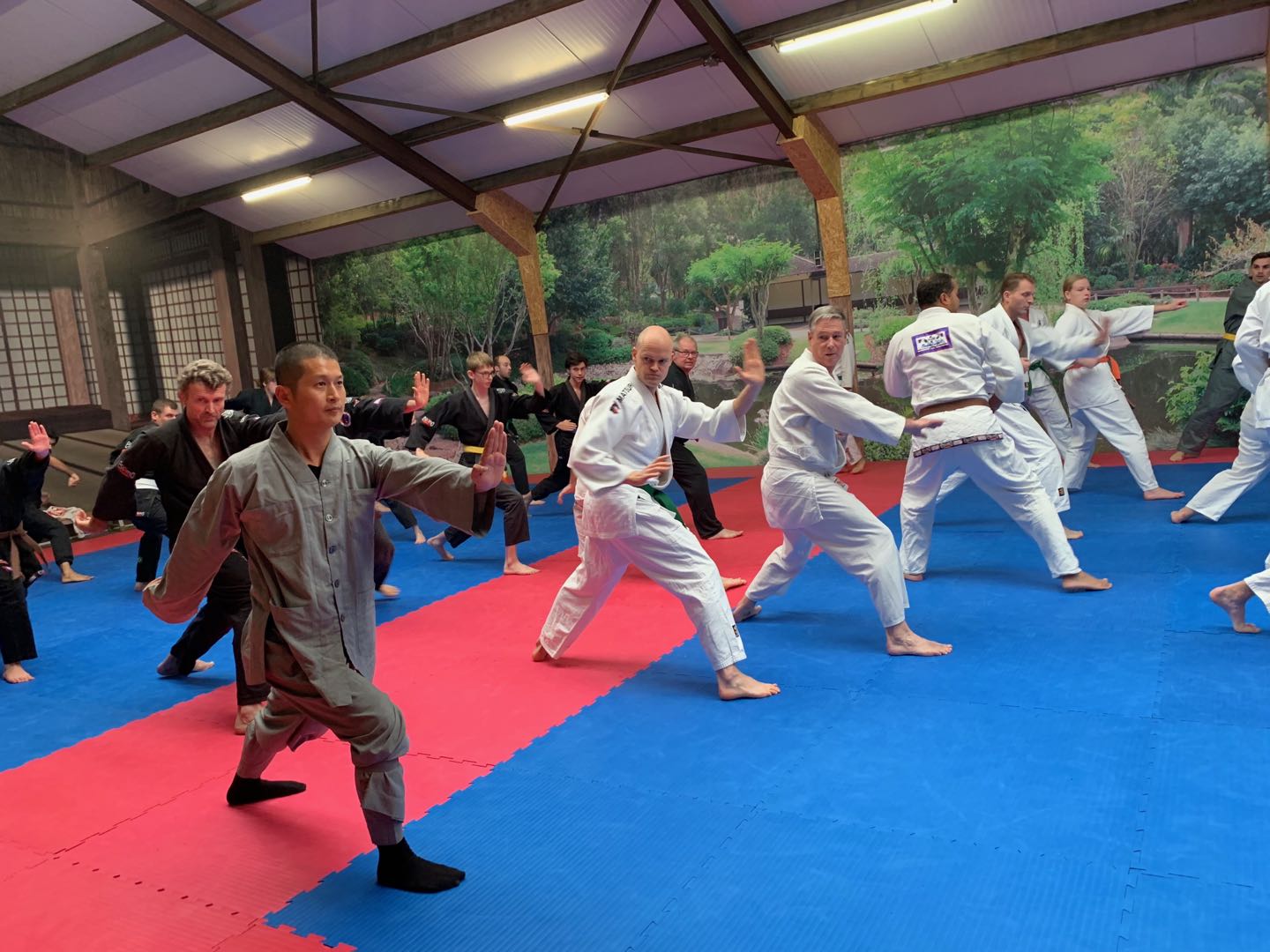 Training kung fu in Europe