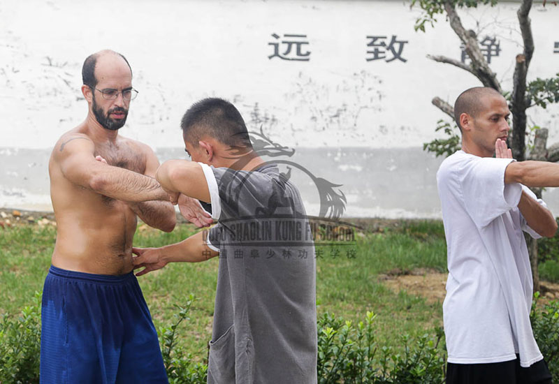 yip man style_school_Wing_Chun in china