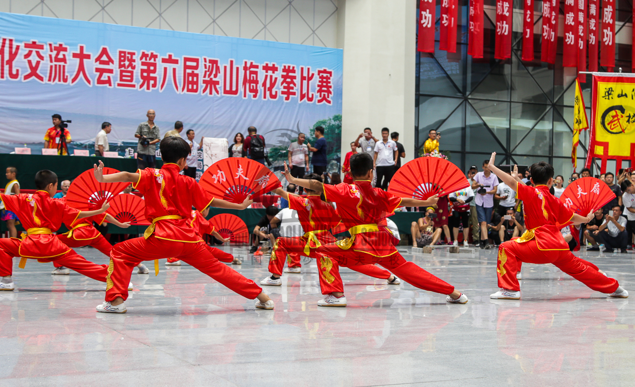 July 2018: Liangshan International Wushu Competition 