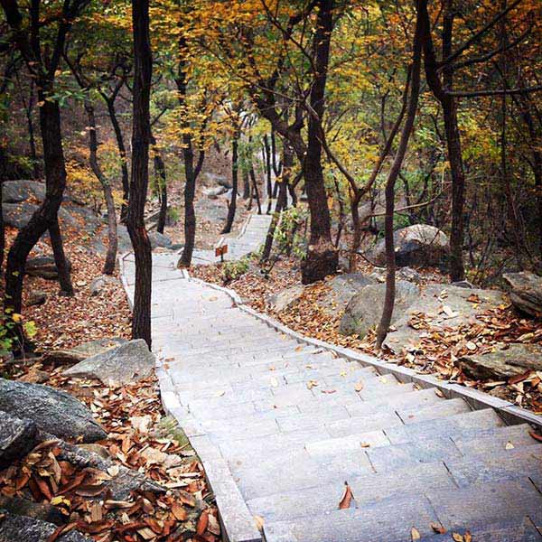 Mountain close to Qufu Shaolin Kung Fu School