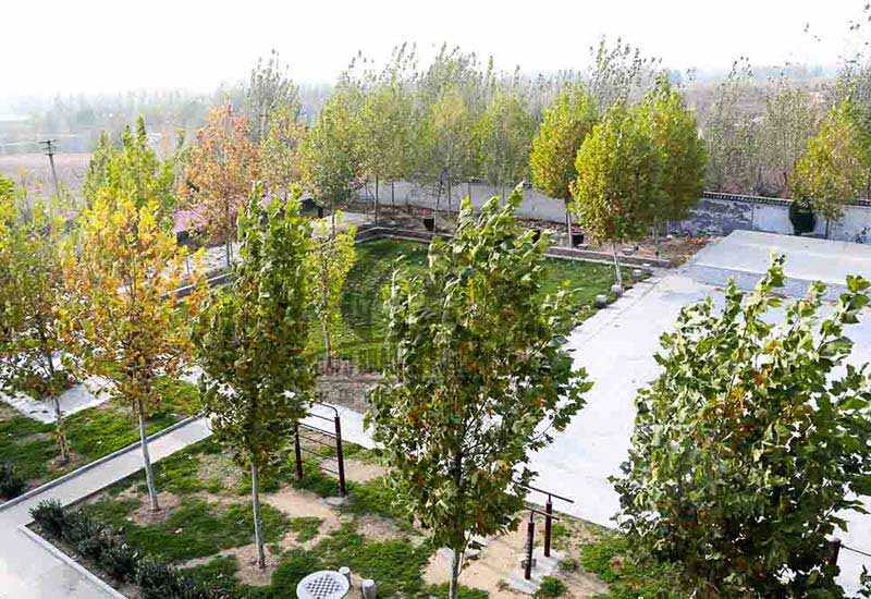 training area in school from above